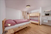 Zirbenappartement DeLuxe Zu Ebener Erde Bild 0